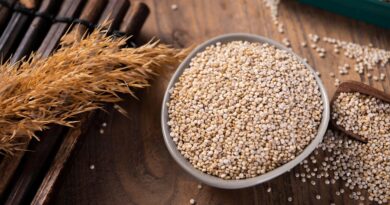 Superfood – nachhaltige Alternativen für eine bewusste Ernährung